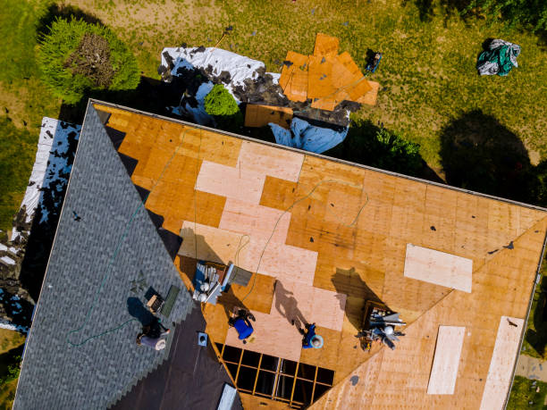Best Shingle Roofing Installation  in Utica, MI