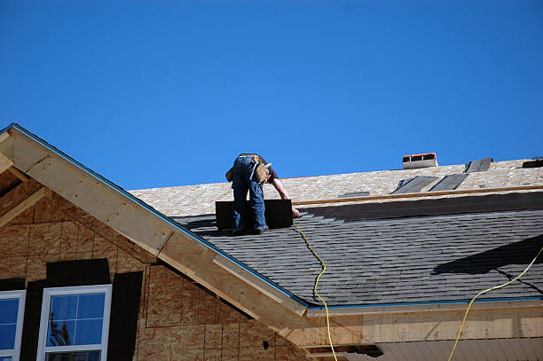 Best Storm Damage Roof Repair  in Utica, MI