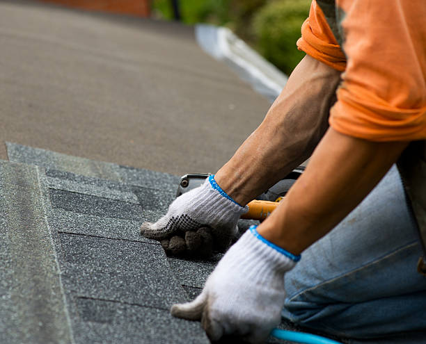 Quick and Trustworthy Emergency Roof Repair Services in Utica, MI