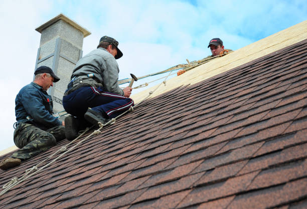 Best Roof Gutter Cleaning  in Utica, MI