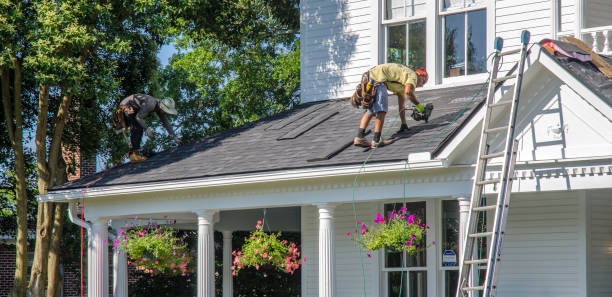 Best Roof Repair Services  in Utica, MI